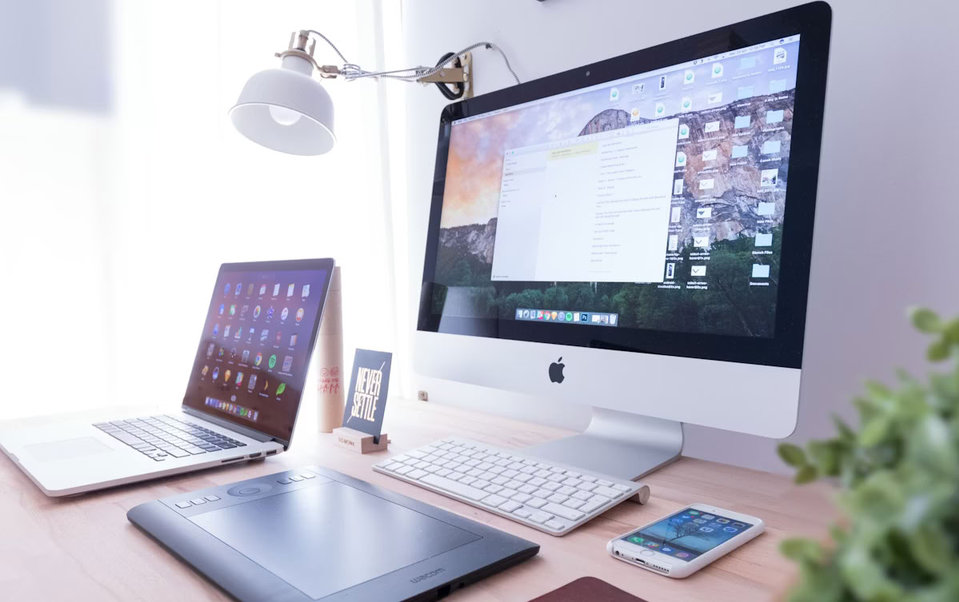 Web Development